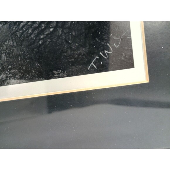 Photographic Art Angel Oak Tree John Island SC By Toni Winn 14.5x11 - Picture 5 of 10